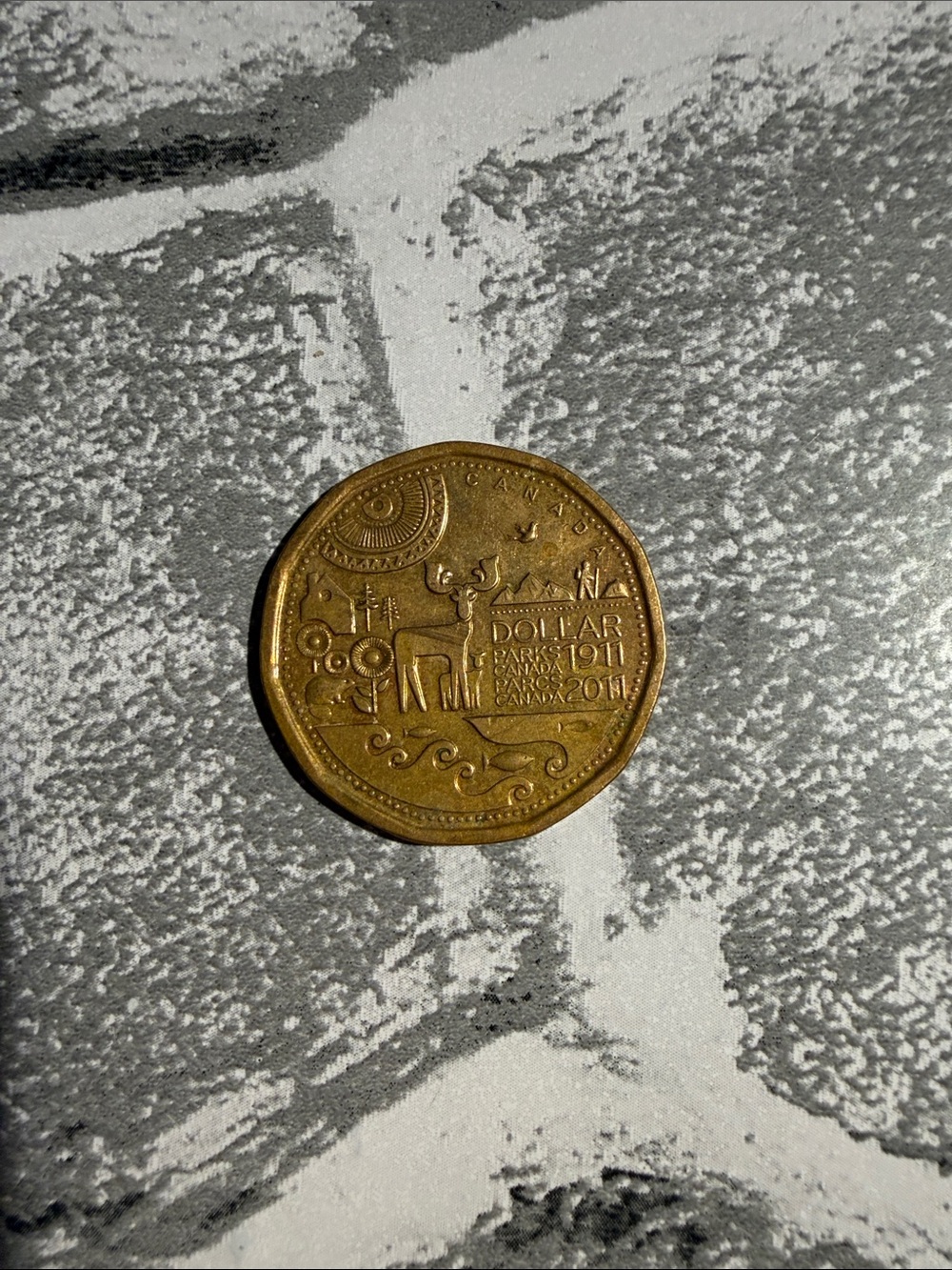 Rare Canada parks coin